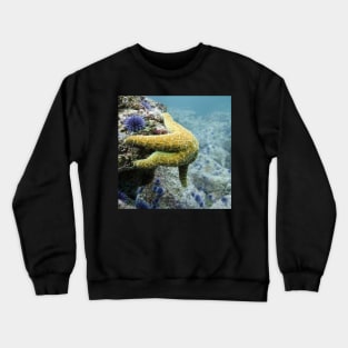 Starfish Underwater Crewneck Sweatshirt